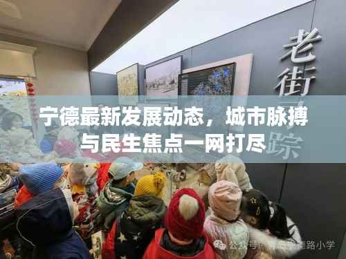 宁德最新发展动态,城市脉搏与民生焦点一网打尽